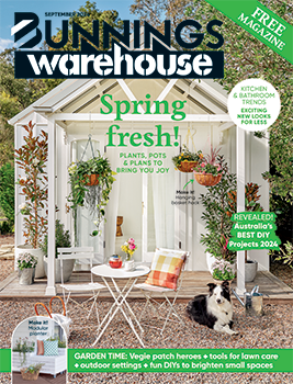 Home_ImprovementBunnings